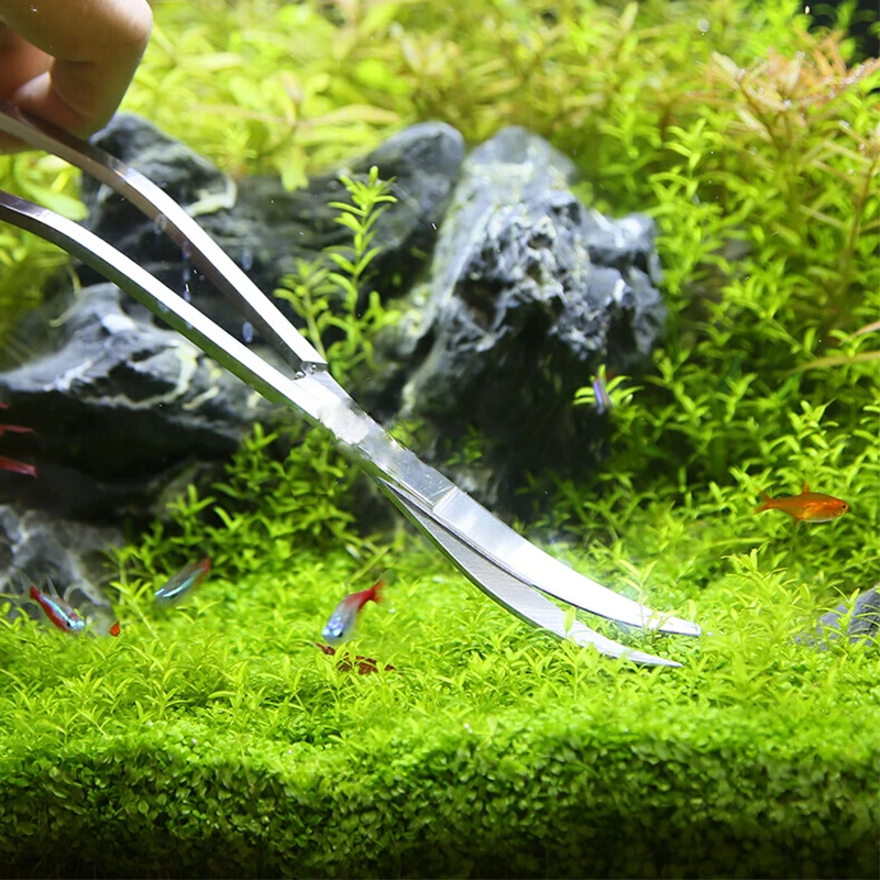 حوض السمك مقص أدوات خزان الأسم - مراجعة Planted Aquarium Products وسعره