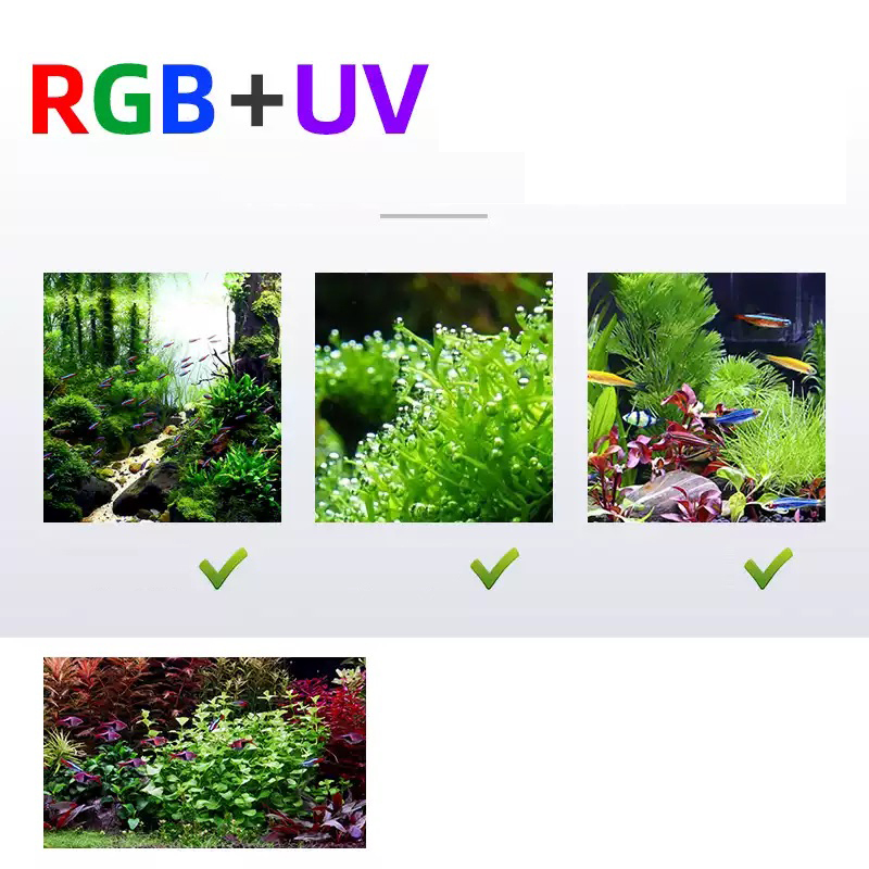 Led الإضاءة 60 سنتيمتر 80 سنتي - مراجعة Planted Aquarium For Sale وسعره