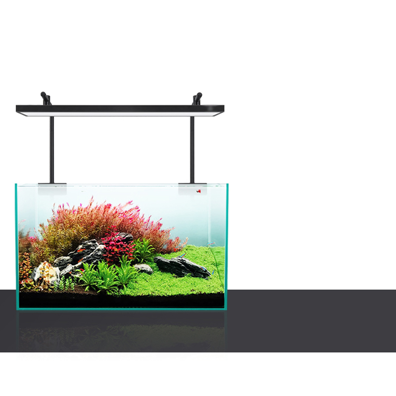 Led الإضاءة 60 سنتيمتر 80 سنتي - مراجعة Planted Aquarium For Sale وسعره