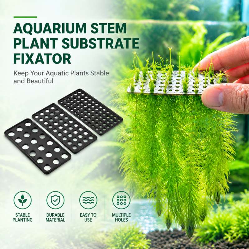 مثبت قاعدة نباتات حوض السمك، م - مراجعة Planted Aquarium With Gravel وسعره