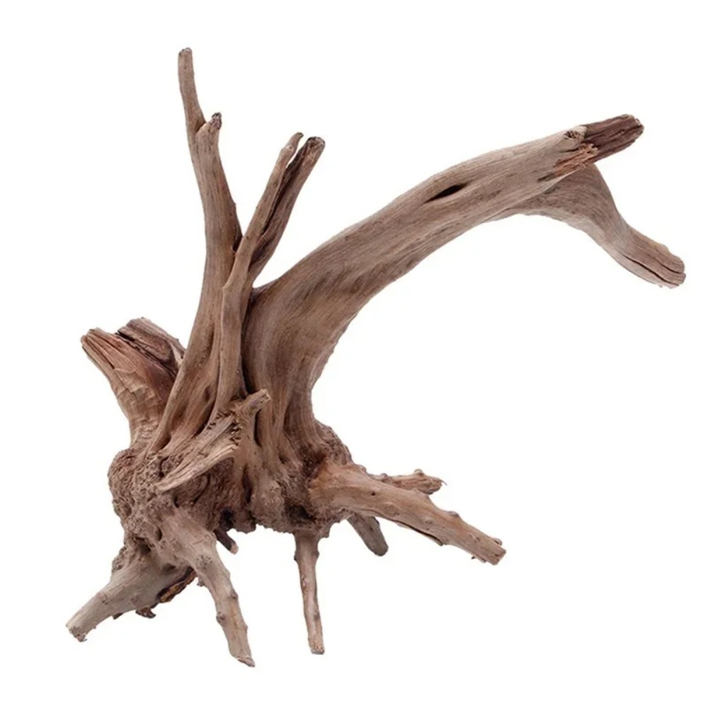 قطعة واحدة من جذع شجرة طبيعي،  - مراجعة Aquarium Plant Root Tabs وسعره