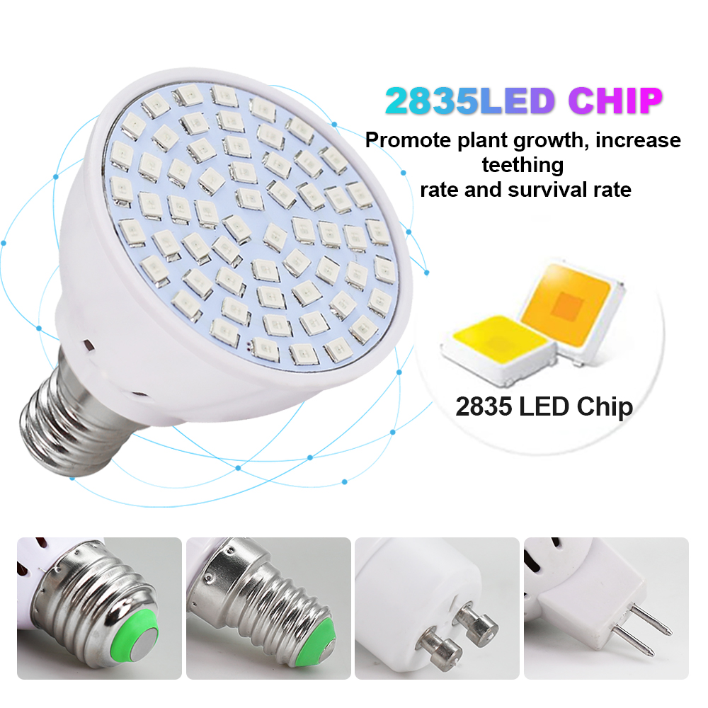 Led تنمو لمبة 220 فولت E27 60  - مراجعة Aquarium Plant Root Tabs وسعره