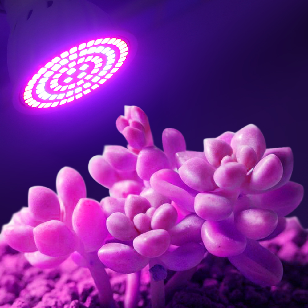 Led تنمو لمبة 220 فولت E27 60  - مراجعة Aquarium Plant Root Tabs وسعره