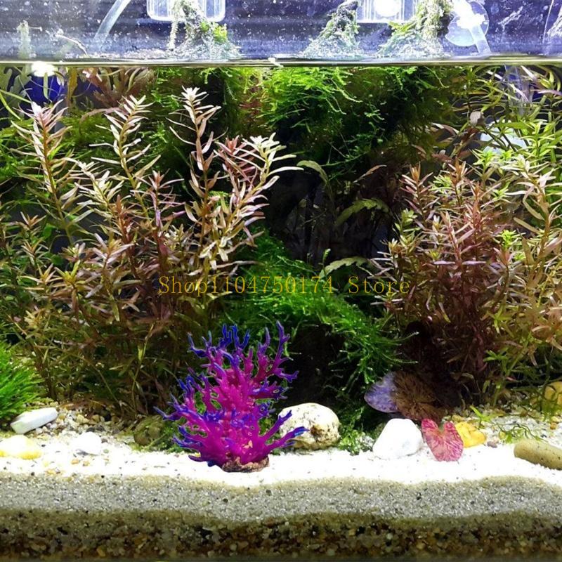 شجرة زينة اصطناعية نبات زينة ش - مراجعة Planted Aquarium For Sale وسعره
