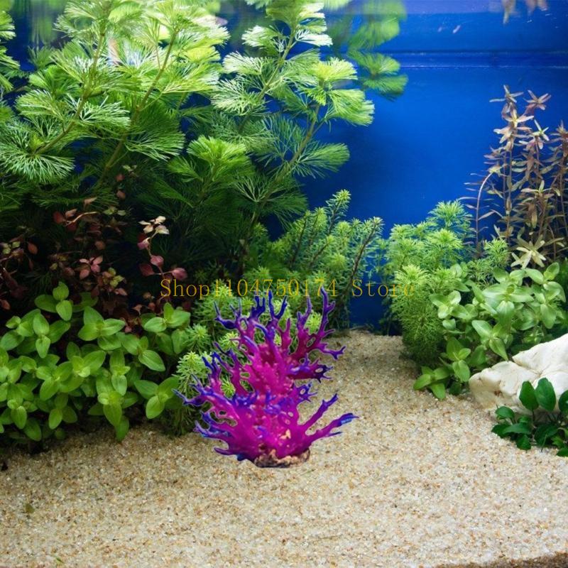 شجرة زينة اصطناعية نبات زينة ش - مراجعة Planted Aquarium For Sale وسعره