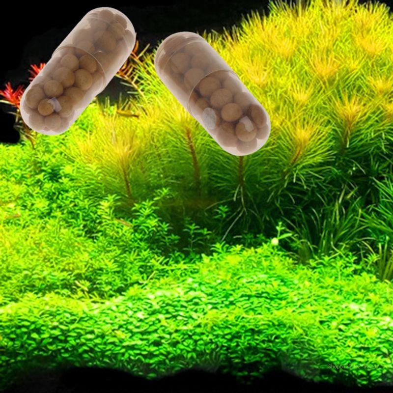QX2E حوض السمك الأسمدة النباتي - مراجعة Aquarium Plant Root Tabs وسعره