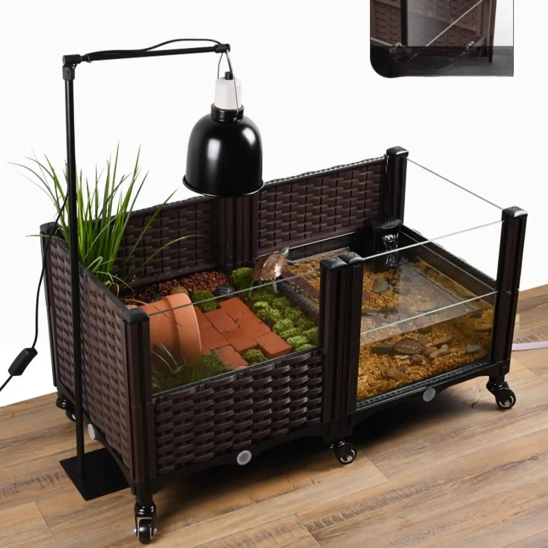 خزان سلحفاة صديق للبيئة مع منص - مراجعة Aquarium Plant Yellowing وسعره