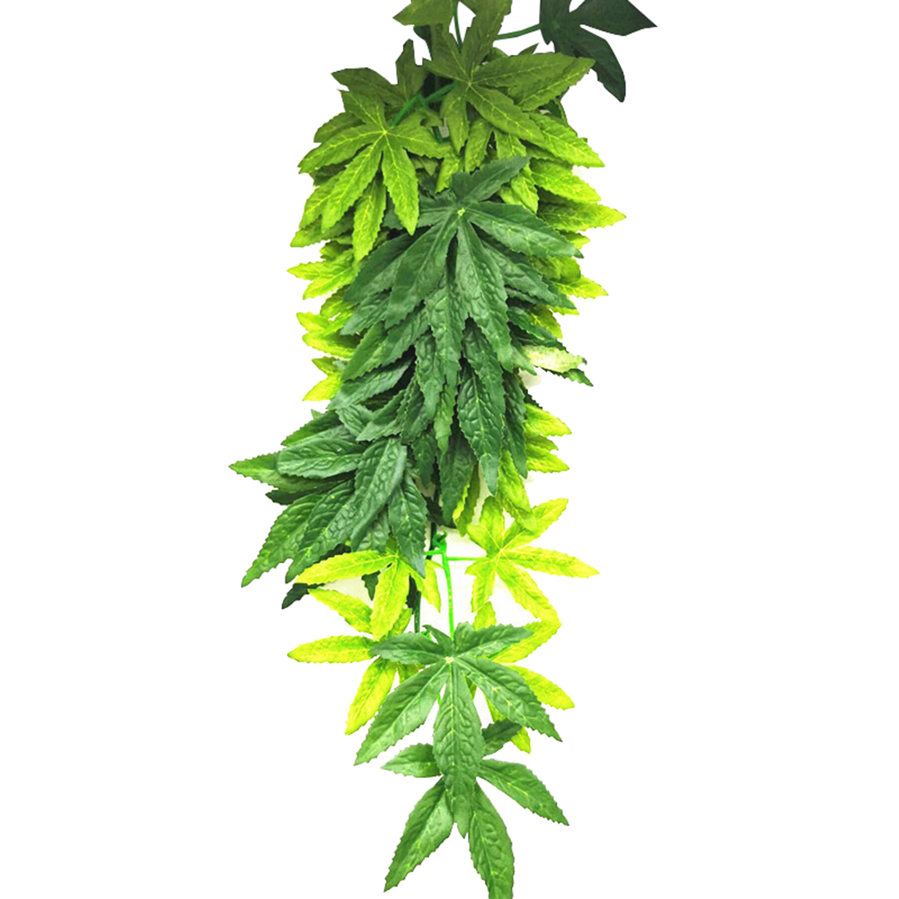 حار بيع 30/40/50 سنتيمتر حوض ا - مراجعة Planted Aquarium For Sale وسعره