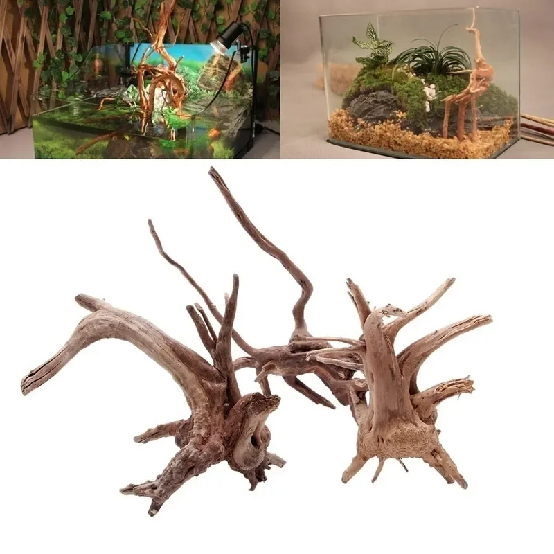 شجرة طبيعية جذع Driftwood لحوض - مراجعة Aquarium Plant Root Tabs وسعره