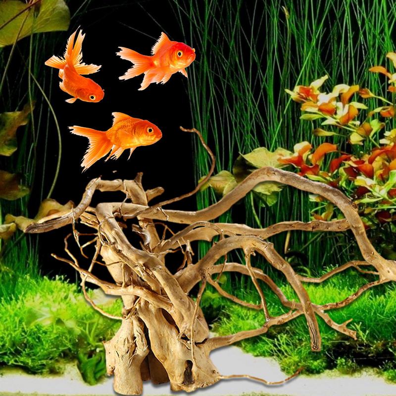 حوض السمك Driftwood الديكور شج - مراجعة Aquarium Plant Root Tabs وسعره