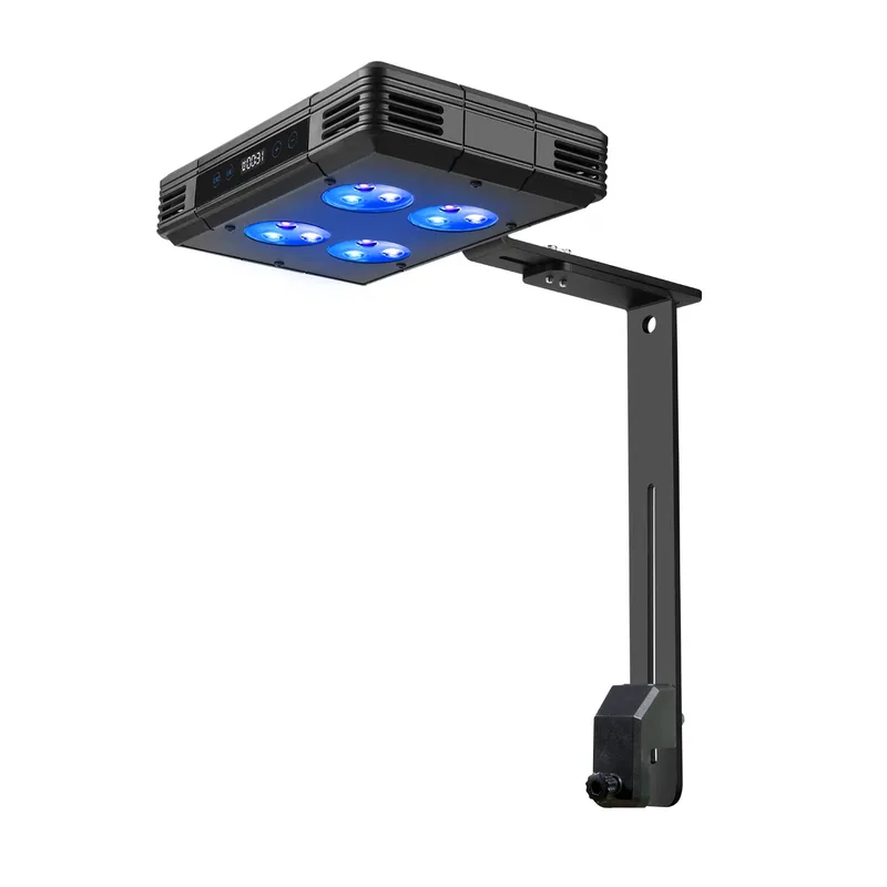 جاكو A052 52 واط - إضاءة LED ل - مراجعة Planted Aquarium For Sale وسعره