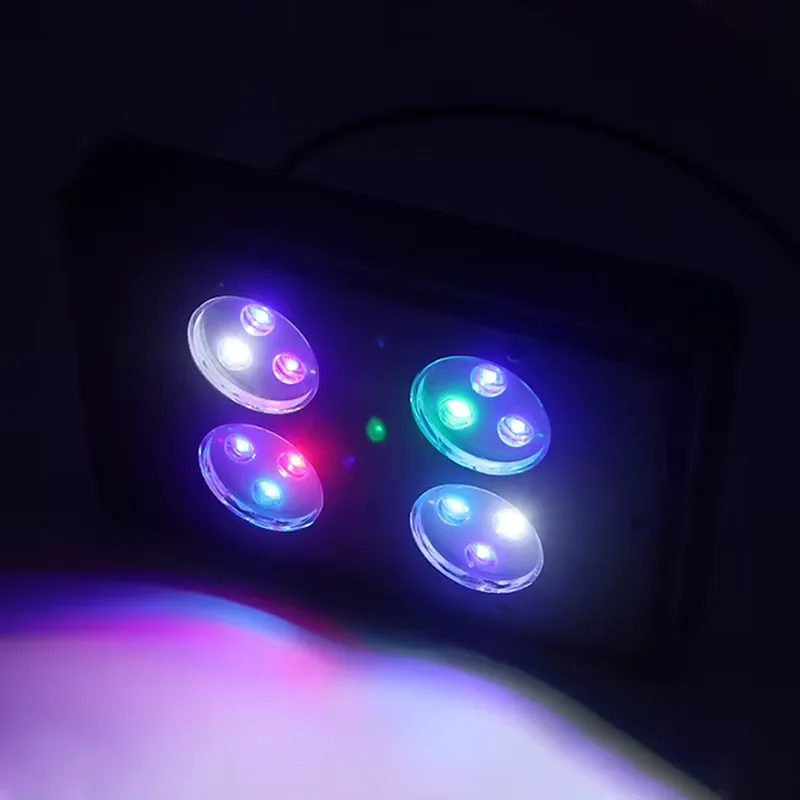 جاكو A052 52 واط - إضاءة LED ل - مراجعة Planted Aquarium For Sale وسعره