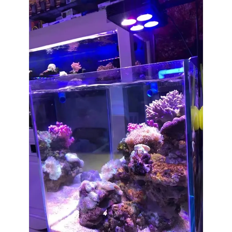 جاكو A052 52 واط - إضاءة LED ل - مراجعة Planted Aquarium For Sale وسعره