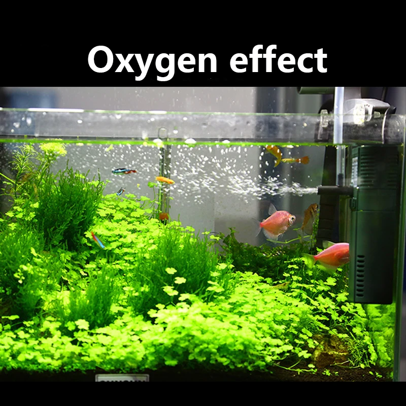 مضخة أوكسجين داخلي نانو صغيرة  - مراجعة Planted Aquarium Products وسعره