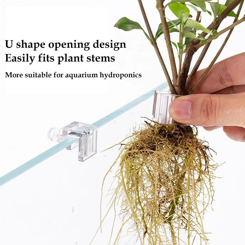 عرض خاص: 6 قطع من مشابك تثبيت  - مراجعة Planted Aquarium For Sale وسعره