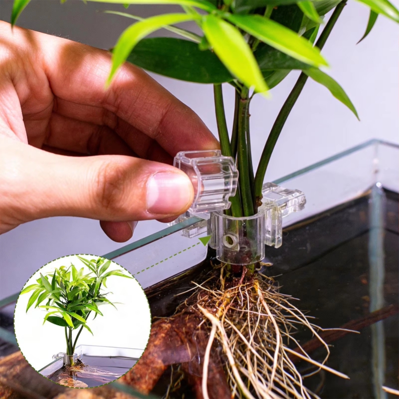 عرض خاص: 6 قطع من مشابك تثبيت  - مراجعة Planted Aquarium For Sale وسعره